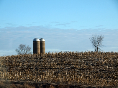 [A spent cornfield with two silos on the left with one tree further left and one tree on the right. A swath of thin clouds frames the trees and silos. No snow is visible.]